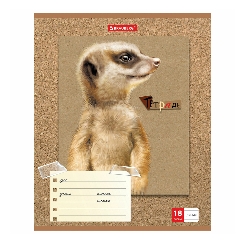 Тетрадь Brauberg 403580 18 листов, линия, Милые зверушки, 1 шт