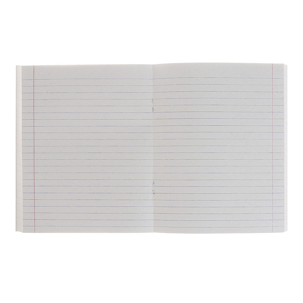 Тетрадь Calligrata 3099746 96 листов, линия, Дикие кошки, 4 дизайна