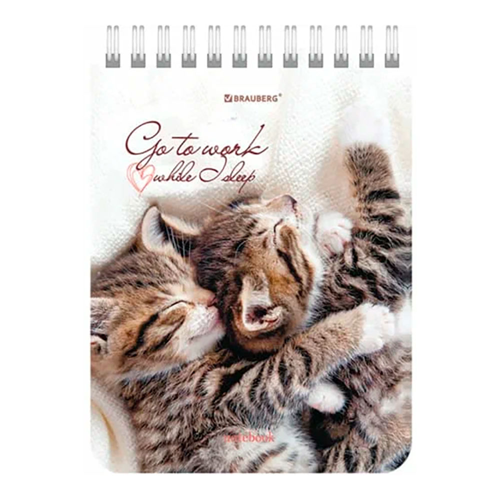 Блокнот Calligrata 3554015 А6 гребень Абстракция, клетка, 40 листов