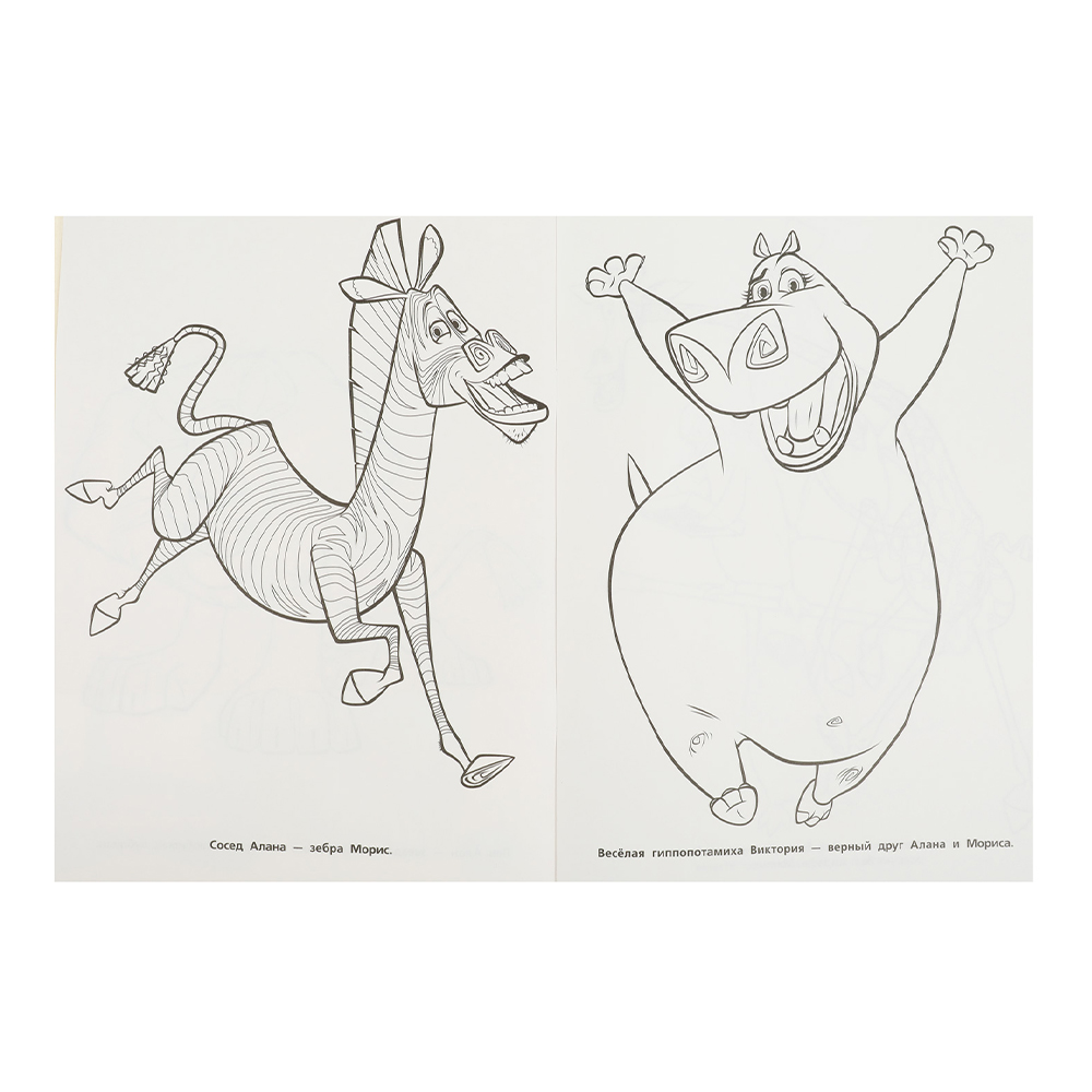 картинка Раскраска 363164 Умка Побег из зоопарка, А4, 214*290 мм, 16 страниц 