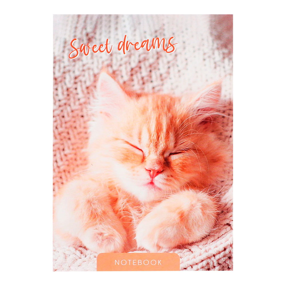 Блокнот Calligrata 9663021 А6 скрепка Сладкий сон, клетка, 40 листов