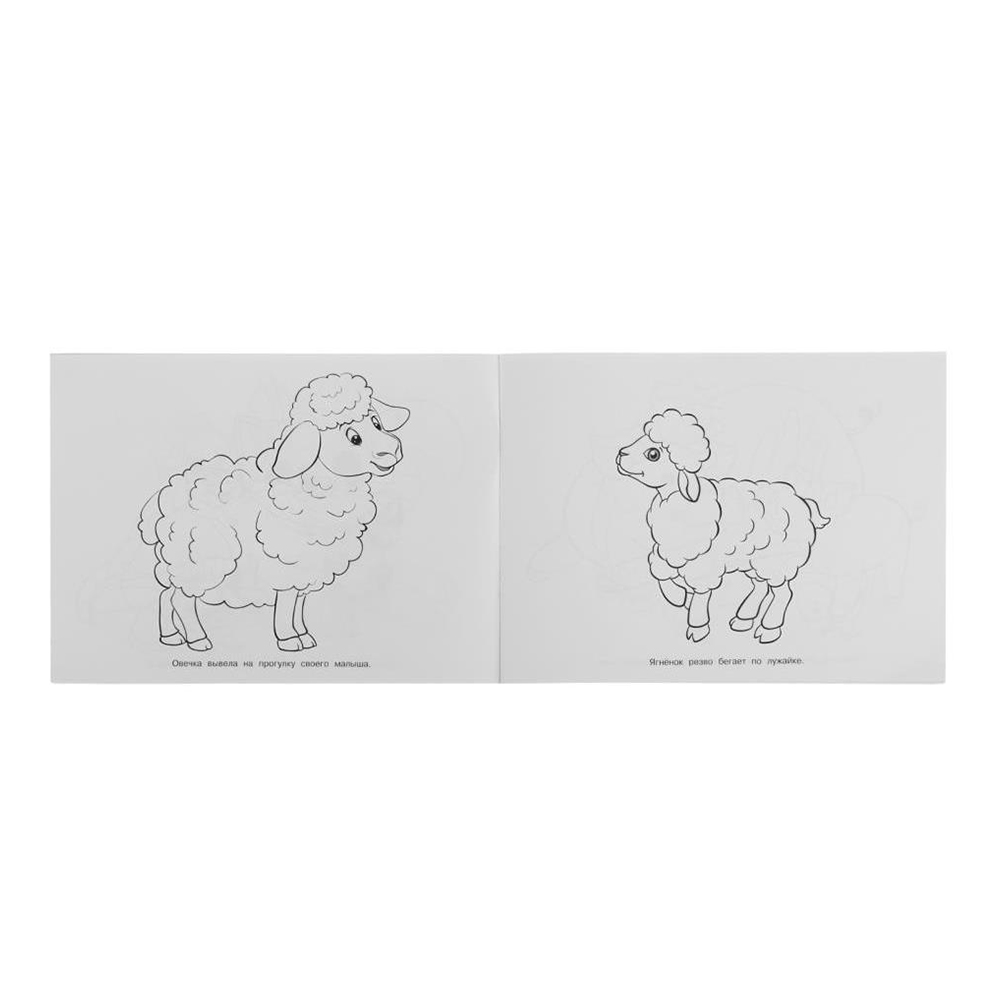 картинка Раскраска 0060 Умка Мамы и малыши, 285*210 мм, 64 страницы 