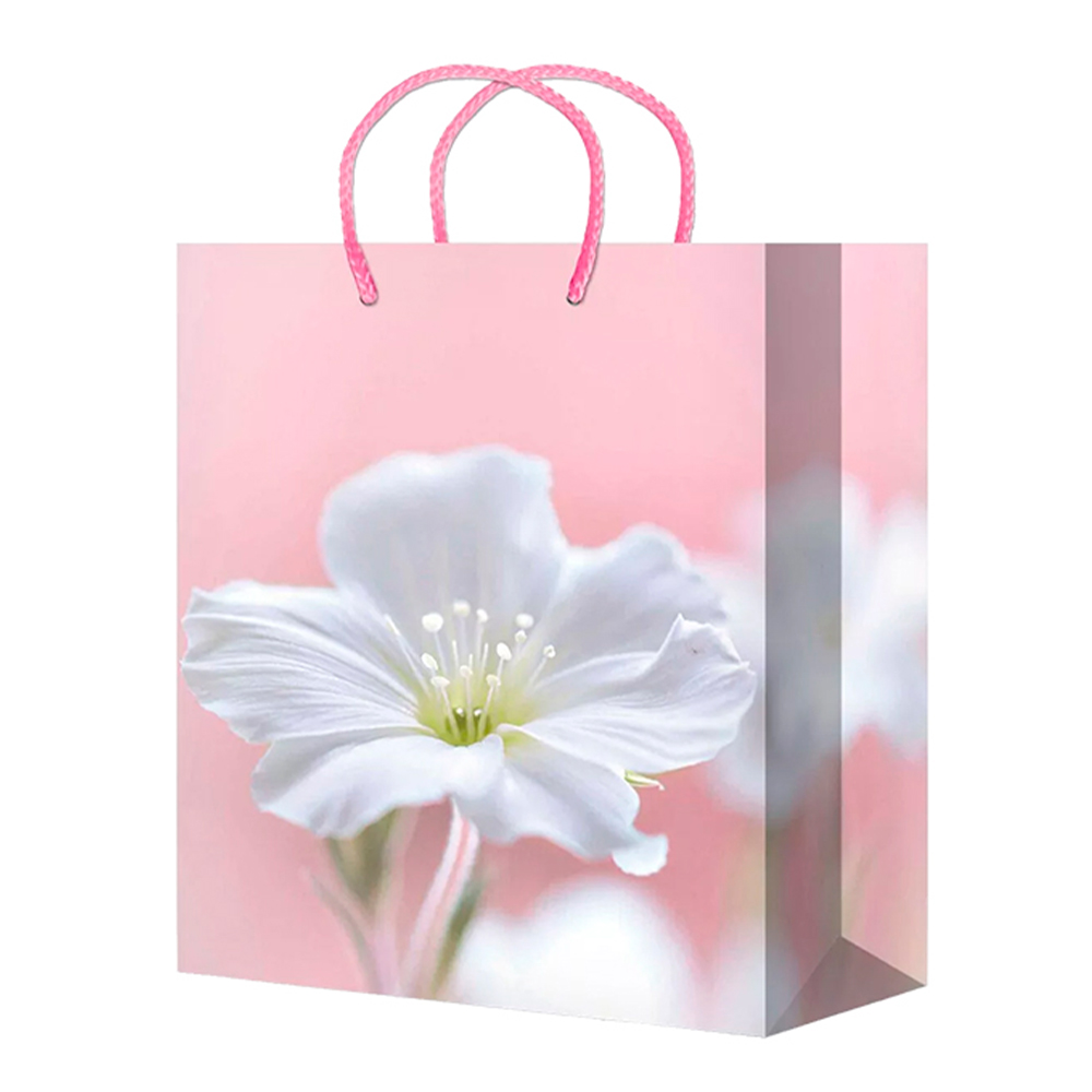 Пакет подарочный S-172/176 Цветы, ламинированная бумага 11*13*6 см, микс