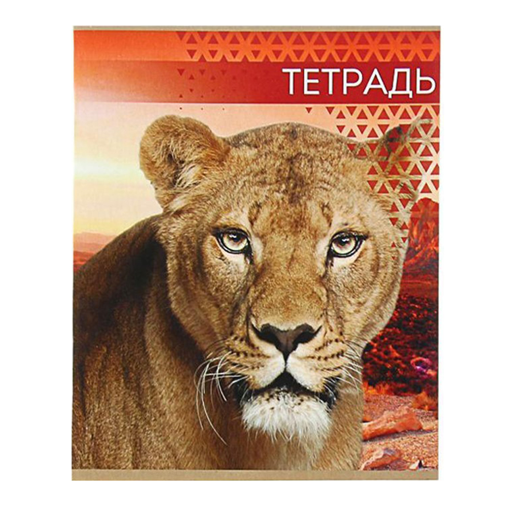 Тетрадь Calligrata 3043786 48 листов, линия, Дикие кошки, цвет:в ассортименте, 4 шт