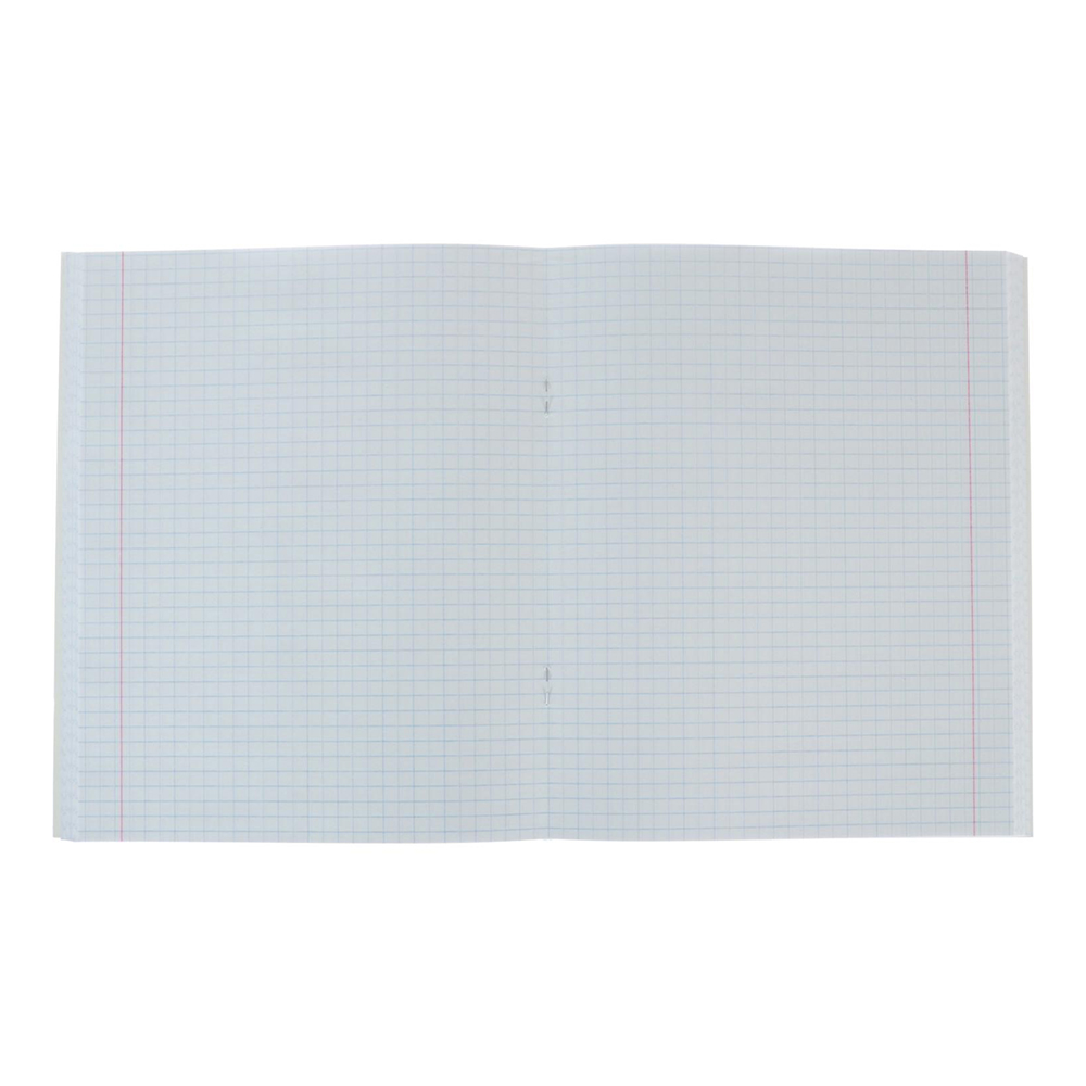 Тетрадь Calligrata 4841484 клетка, Кеды, 96 листов