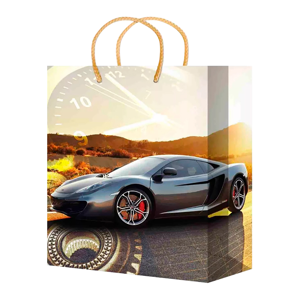 Пакет подарочный XL-585/586/587/588/589 Мужская 32*44*10 см, в ассортименте