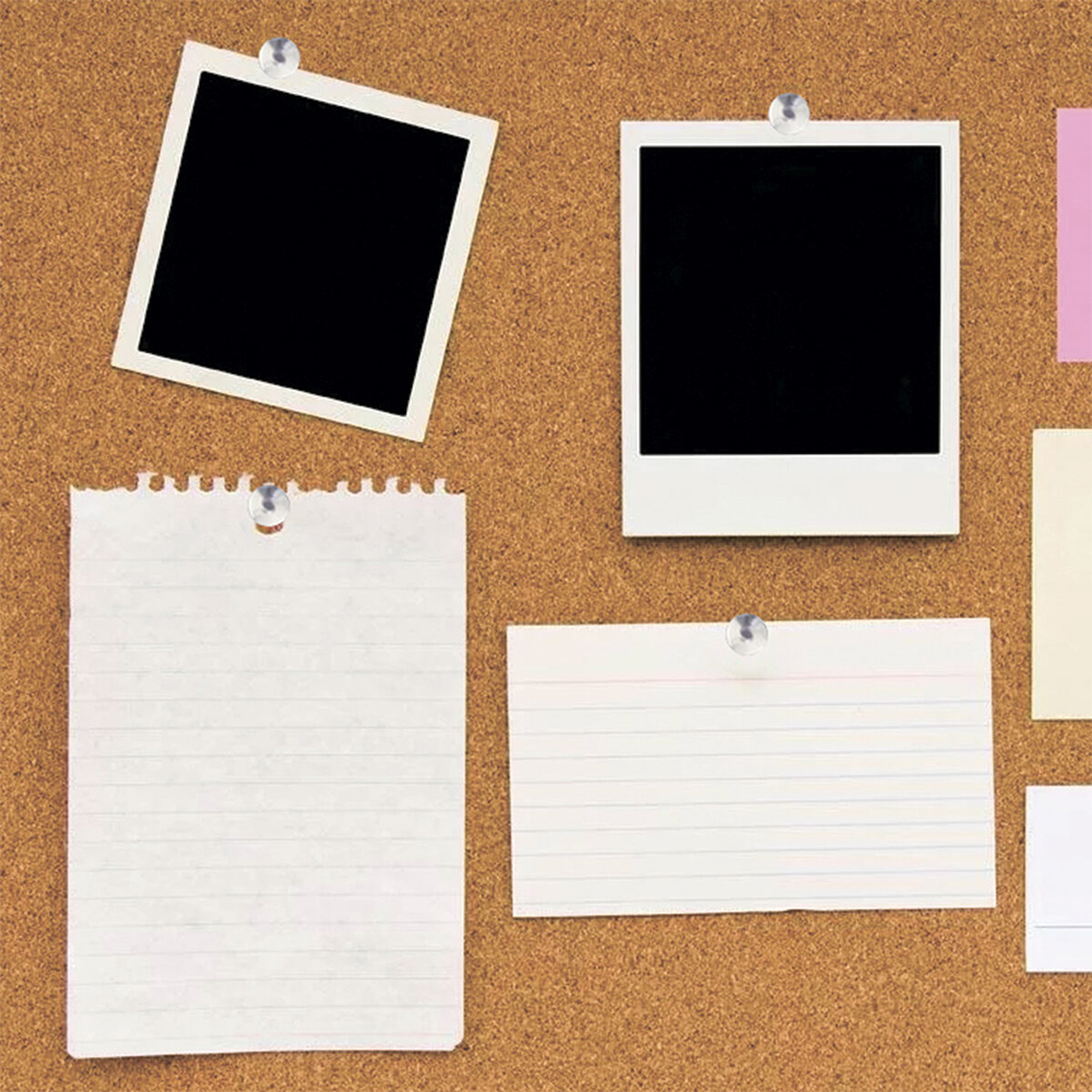 Кнопки Brauberg 220553 канцелярские, металлические, 10мм, 50 шт