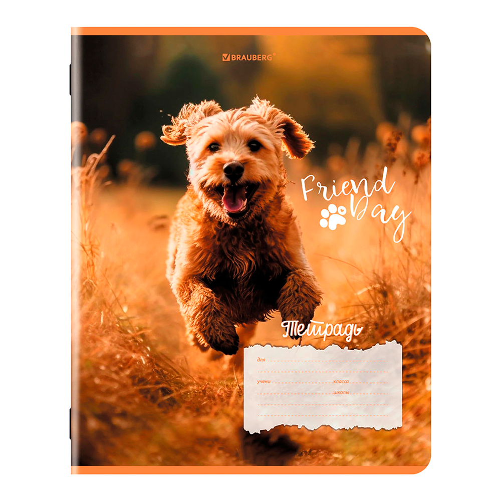 Тетрадь Brauberg 107295 18листов, клетка, Собачки, 5 дизайнов
