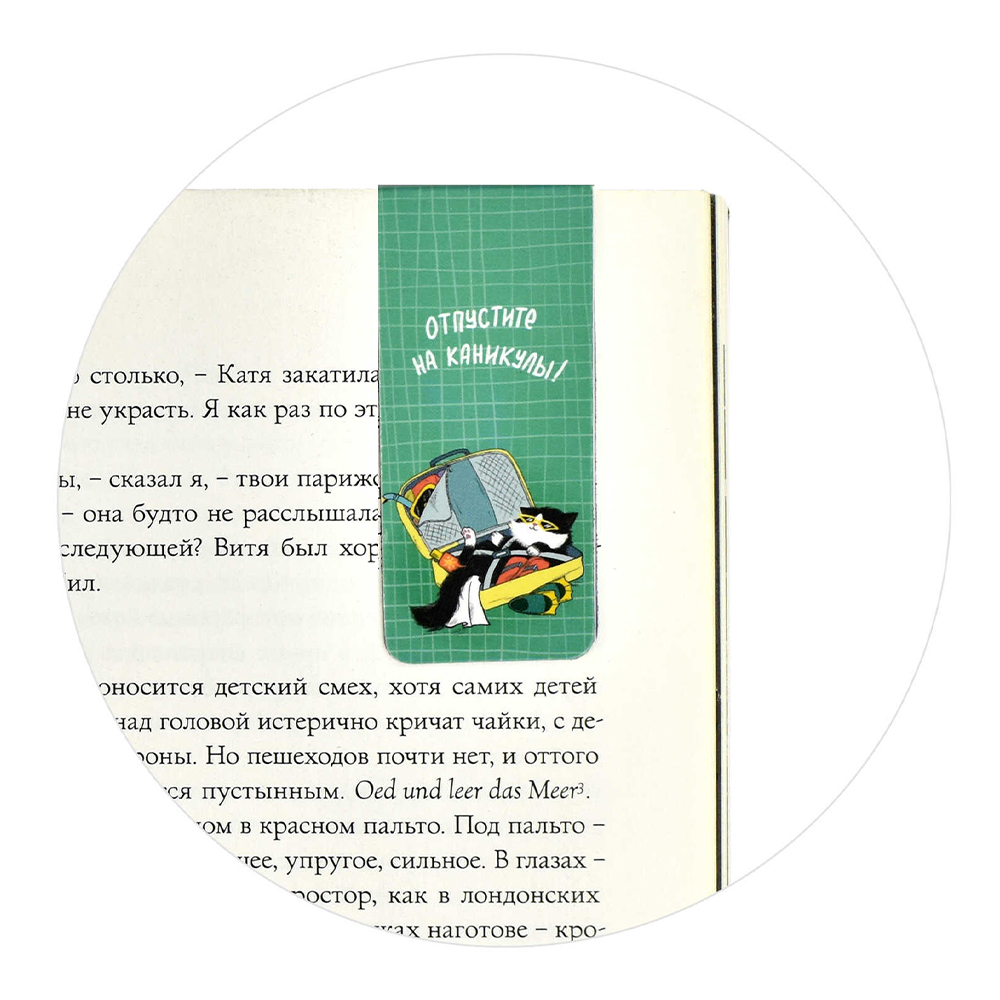 Закладка для книг Феникс 65054 магнитные, в ассортименте 25*28 мм, 4 шт