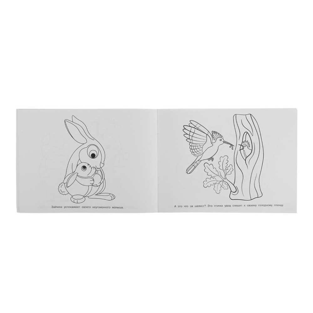 картинка Раскраска 0060 Умка Мамы и малыши, 285*210 мм, 64 страницы 