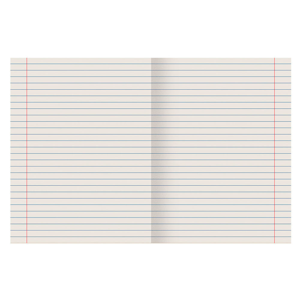 Тетрадь Пифагор 104987 18 листов, линия, зеленая, 1 шт