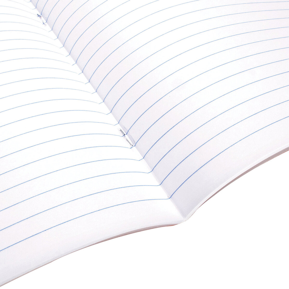 Тетрадь Brauberg 404386 48 листов, линия, Питомцы, А5, 5 дизайнов