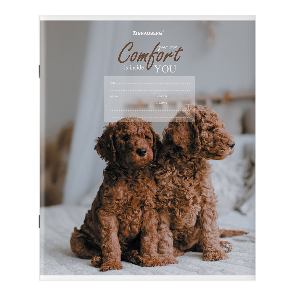 Тетрадь Brauberg 106485 клетка, однотонная, 5 дизайнов, 24 листа