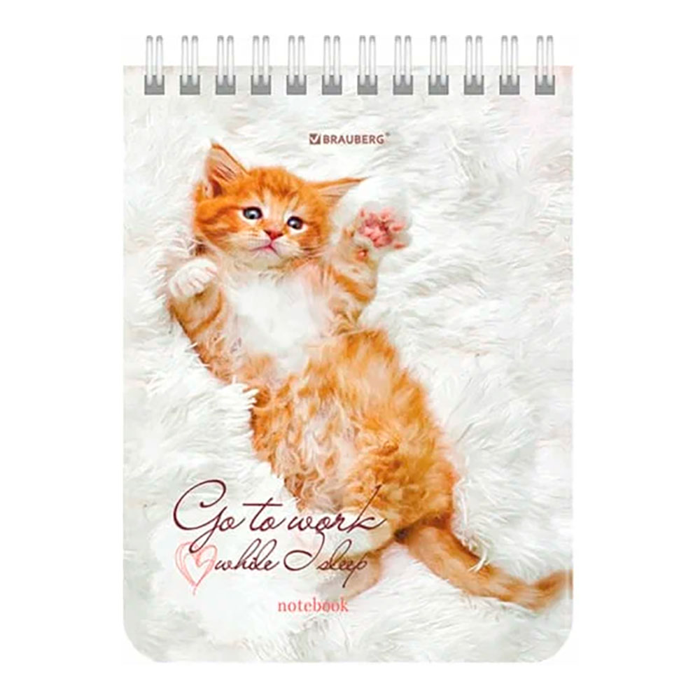 Блокнот Calligrata 3554015 А6 гребень Абстракция, клетка, 40 листов