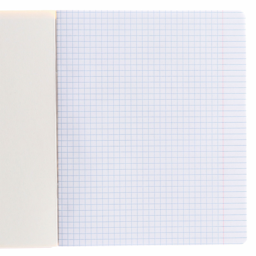 Тетрадь Paw Patrol 10429568 в клетку, Щенячий патруль, 10 дизайнов, 12 листов