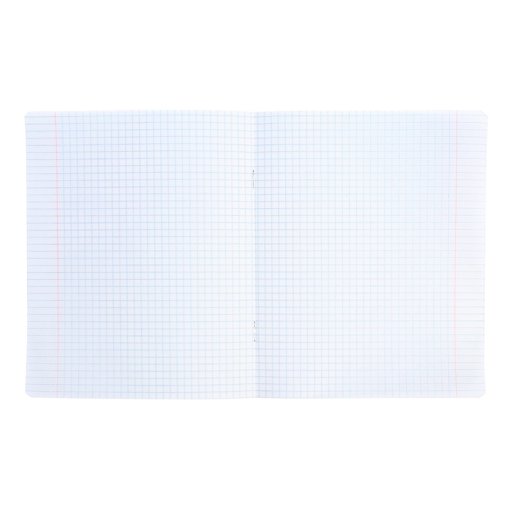 Тетрадь Calligrata 9492345 клетка, Пёсики, 5 видов, 12 листов