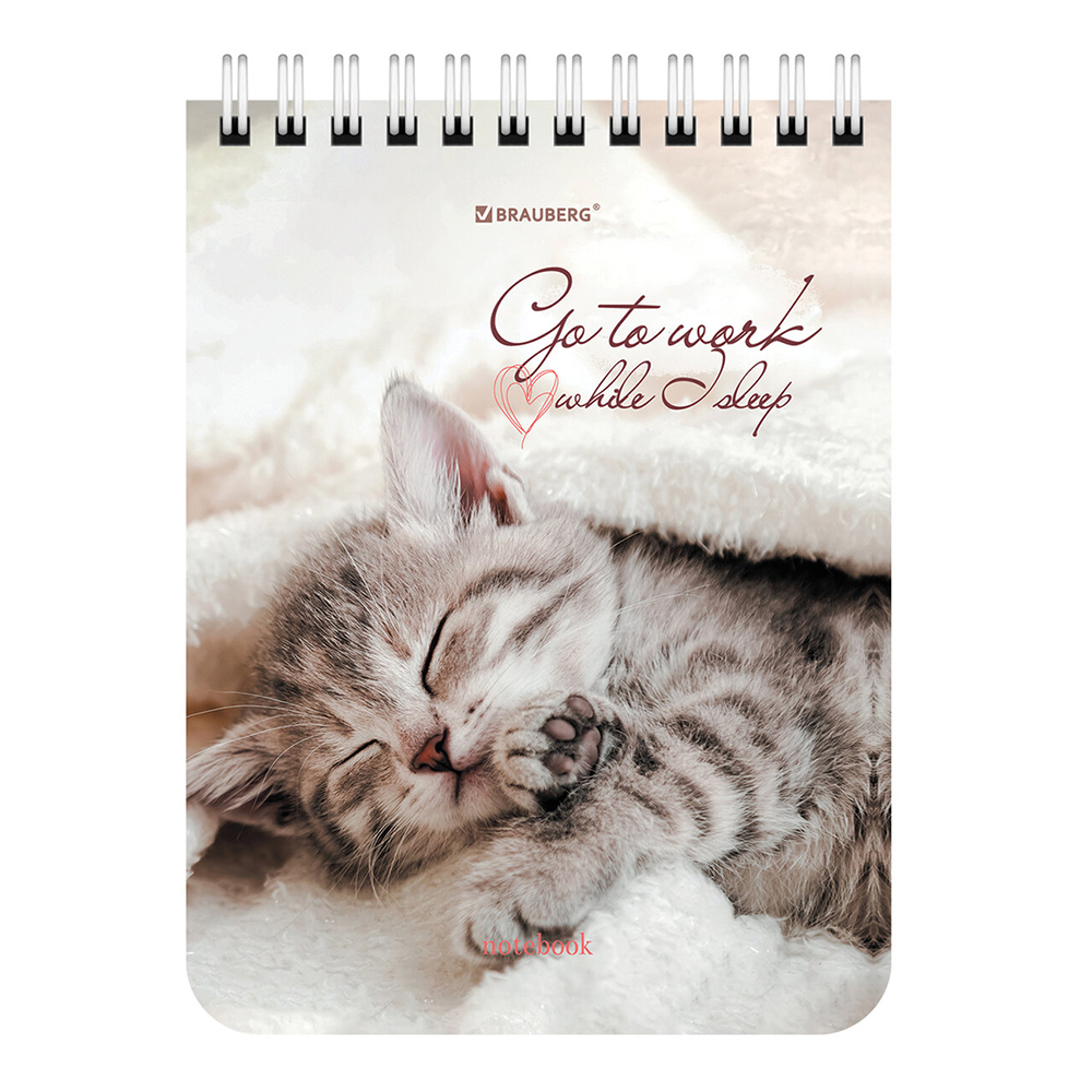 Блокнот Brauberg 114391 А6 гребень Милые котята, клетка, 40 листов