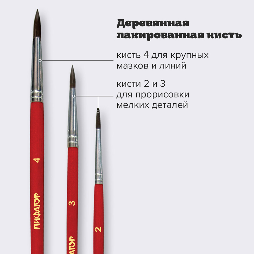 Кисти для рисования Пифагор 200227 из ворса пони круглые № 2, 3, 4, блистер, 3 шт