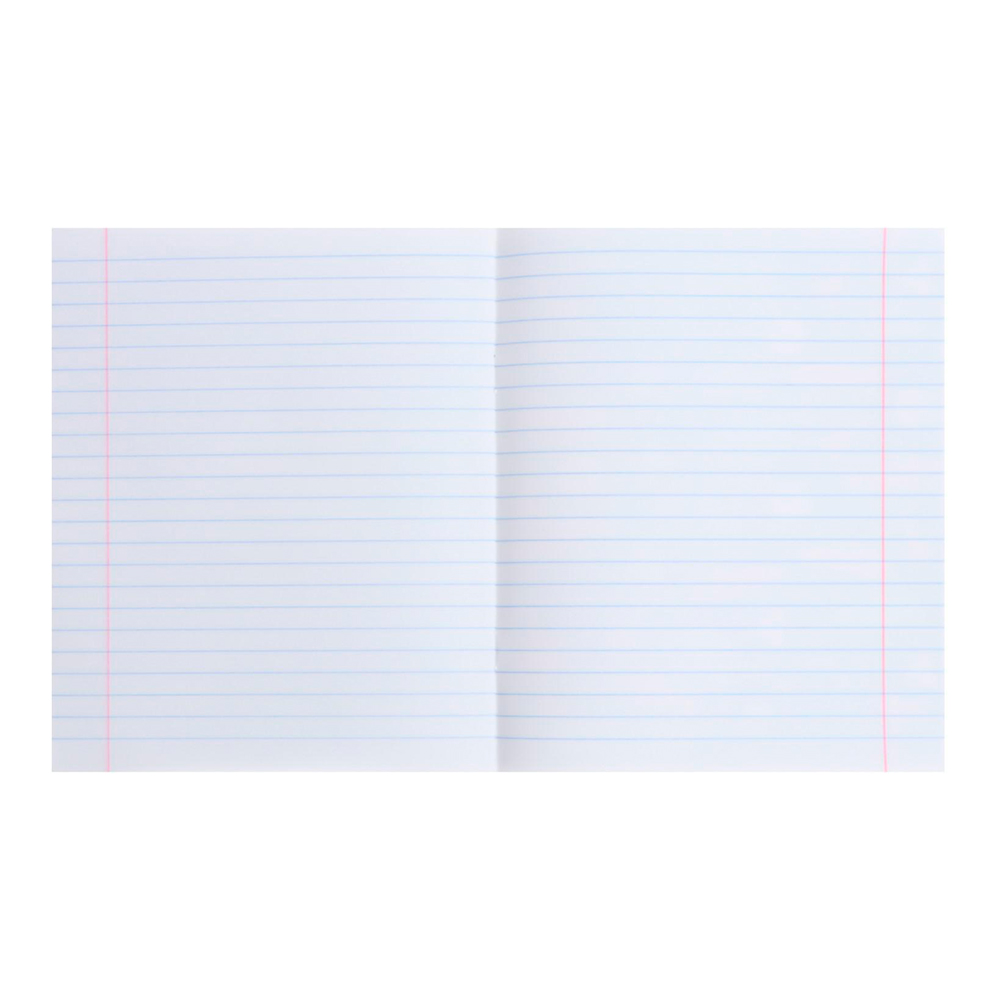 Тетрадь Calligrata 4845875 12 листов, линия, Пушистики, 4 дизайна