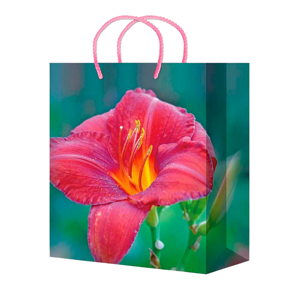 Пакет подарочный S-172/176 Цветы, ламинированная бумага 11*13*6 см, микс