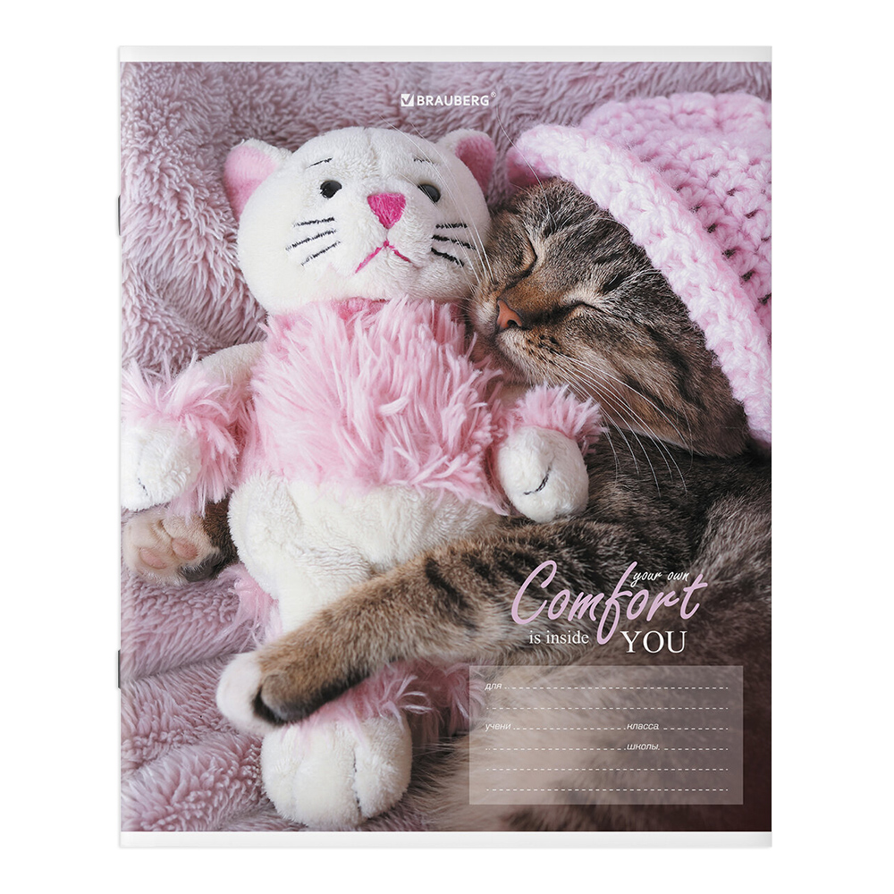 Тетрадь Brauberg 106485 клетка, однотонная, 5 дизайнов, 24 листа