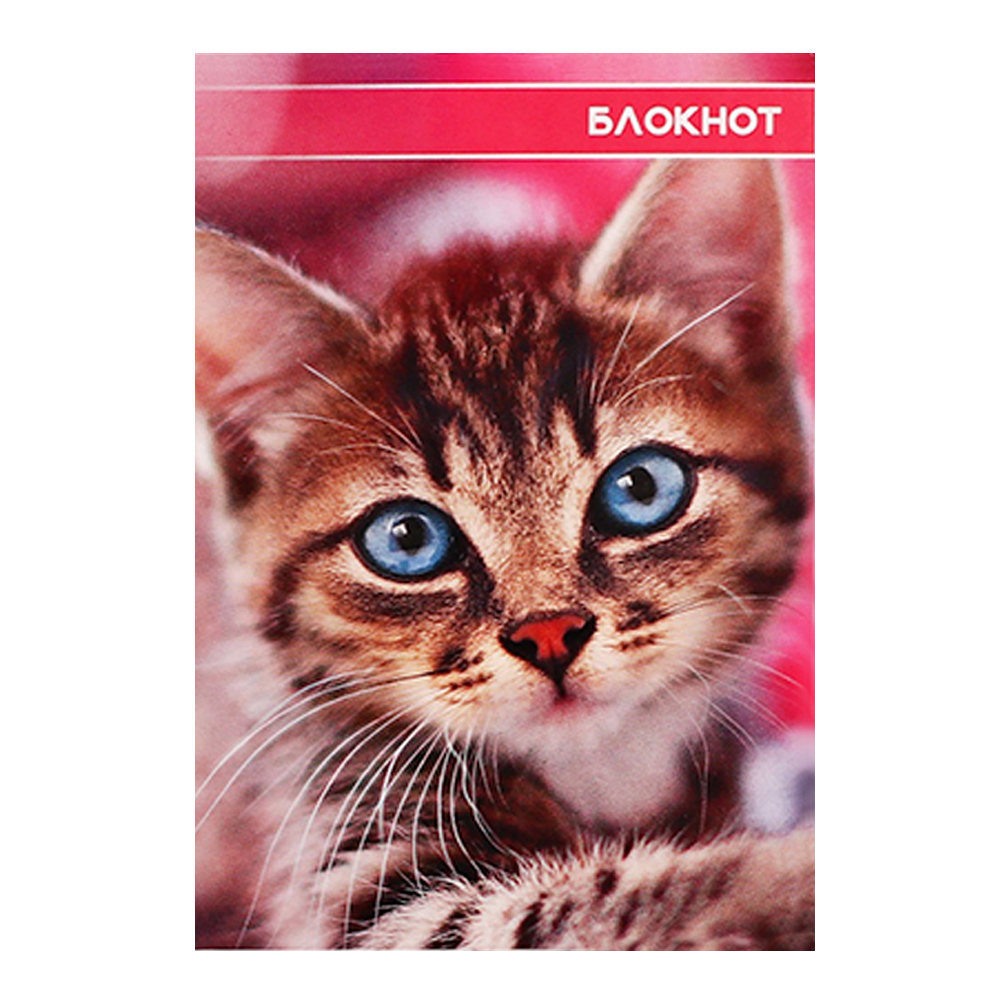 Блокнот Calligrata 3554016 А6 гребень Котята и щенята, клетка, 40 листов