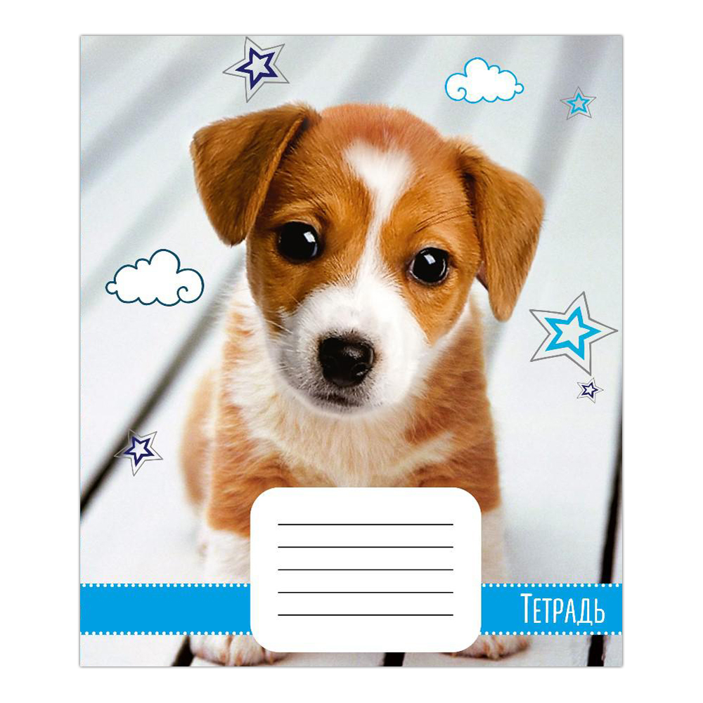 Тетрадь Calligrata 18 листов, линияя, Домашние животные, 5 дизайнов, 1 шт