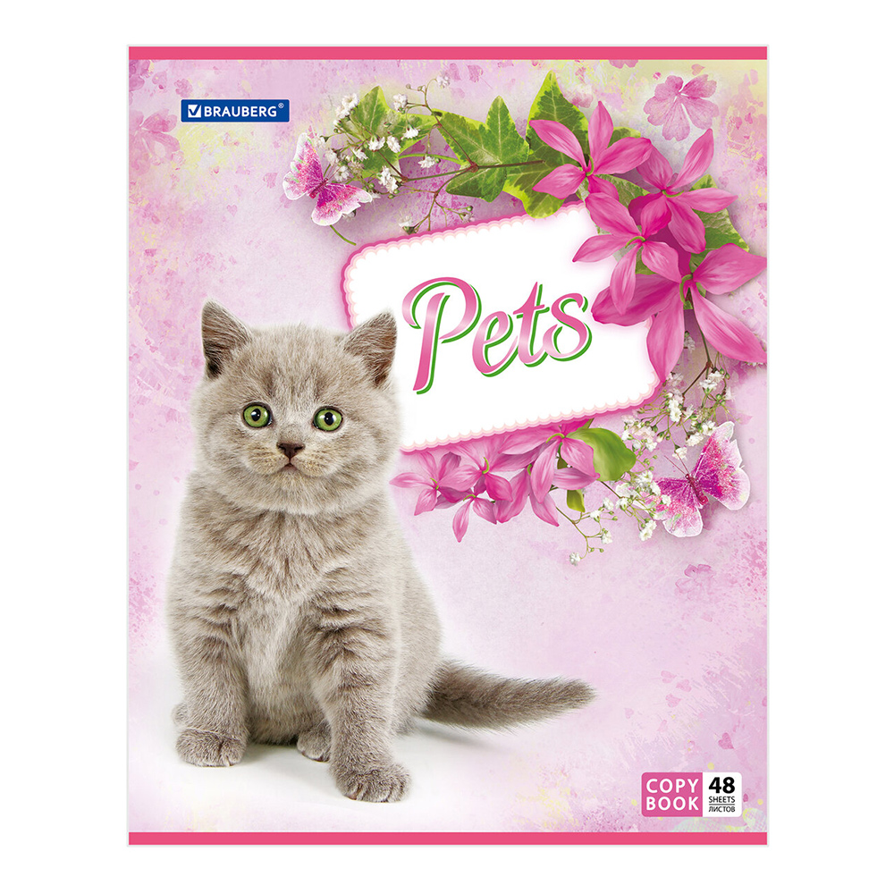 Тетрадь Brauberg 401816 в клетку, Любимчики, 48 листов