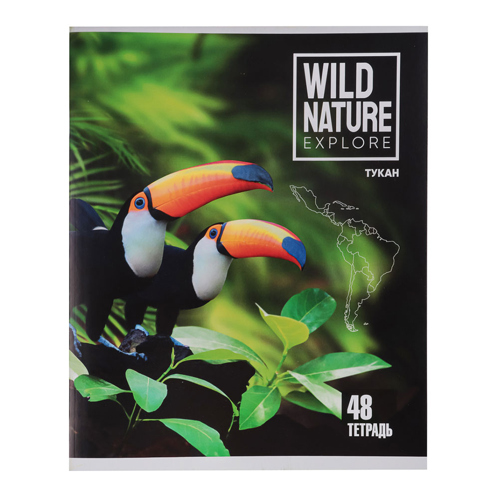 Тетрадь ClipStudio 578-002 48 листов, клетка, 5 дизайнов