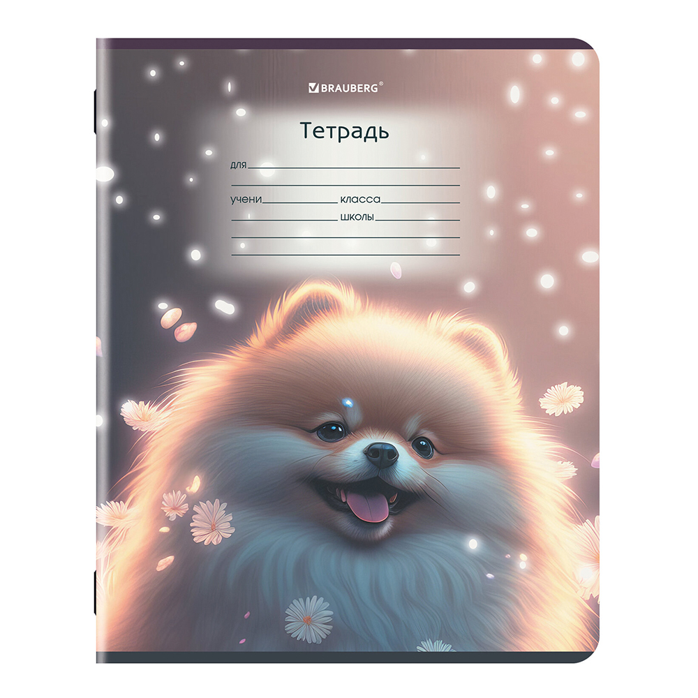 Тетрадь Brauberg 107289 Зверушки, косая линия, 5 дизайнов, 12 листов