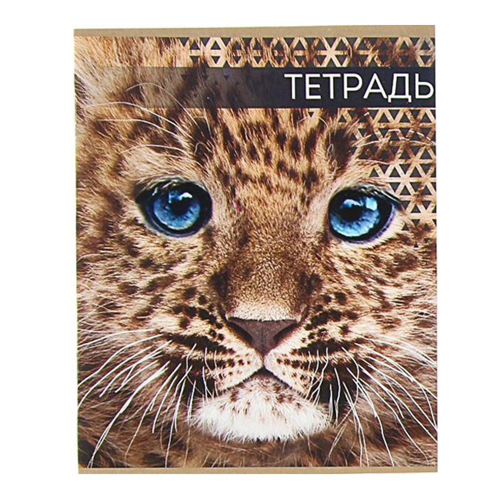 Тетрадь Calligrata 3043786 48 листов, линия, Дикие кошки, цвет:в ассортименте, 4 шт