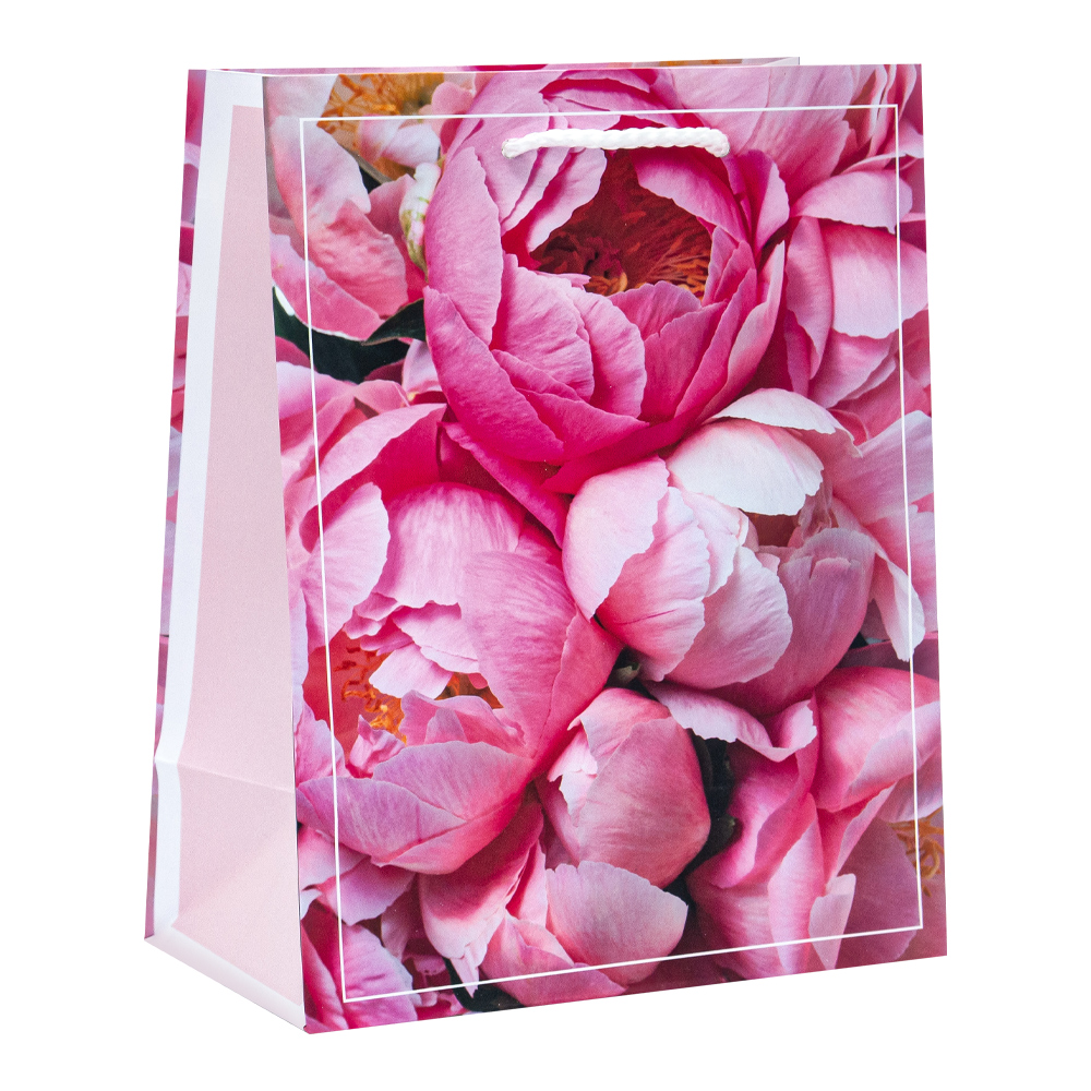 Пакет подарочный ч44612, ч45443, ч45579 Ламинированный матовый 18*23 см, в ассортименте