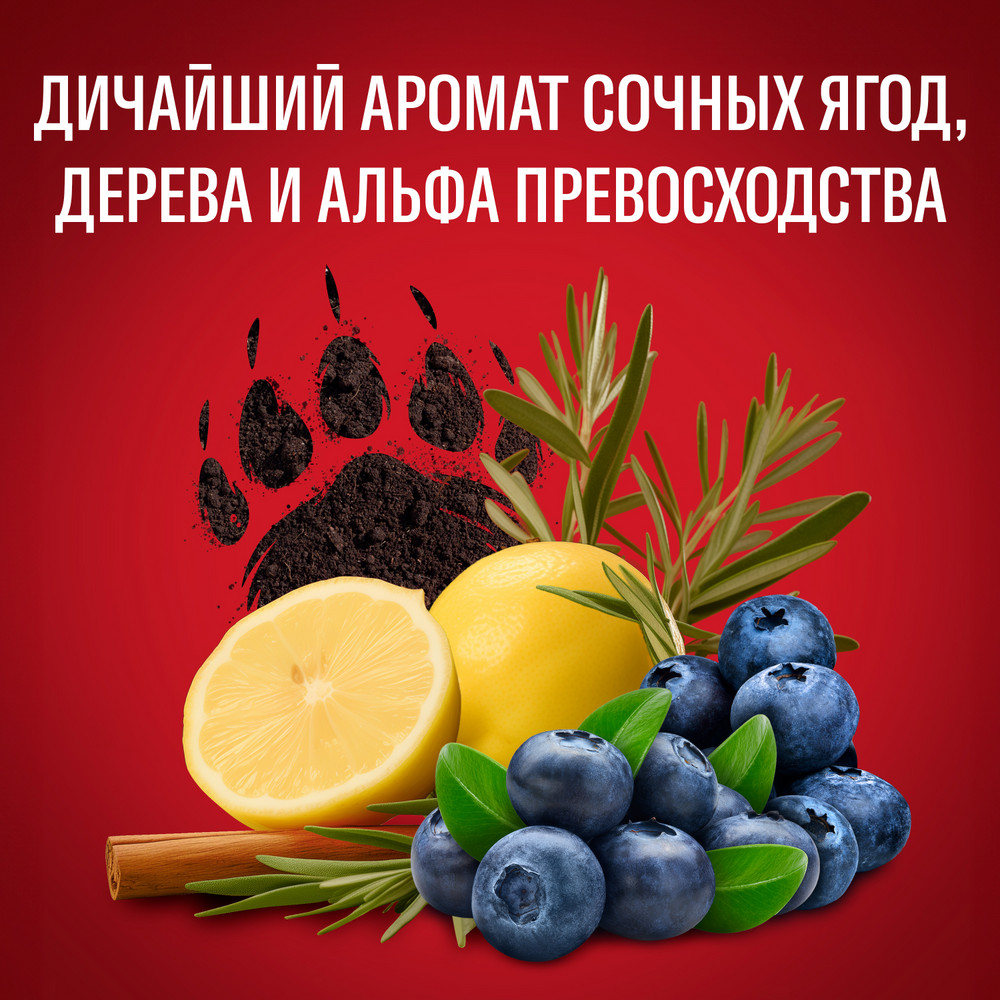 картинка Дезодорант Олд спайс стик 50г муж Beargl 