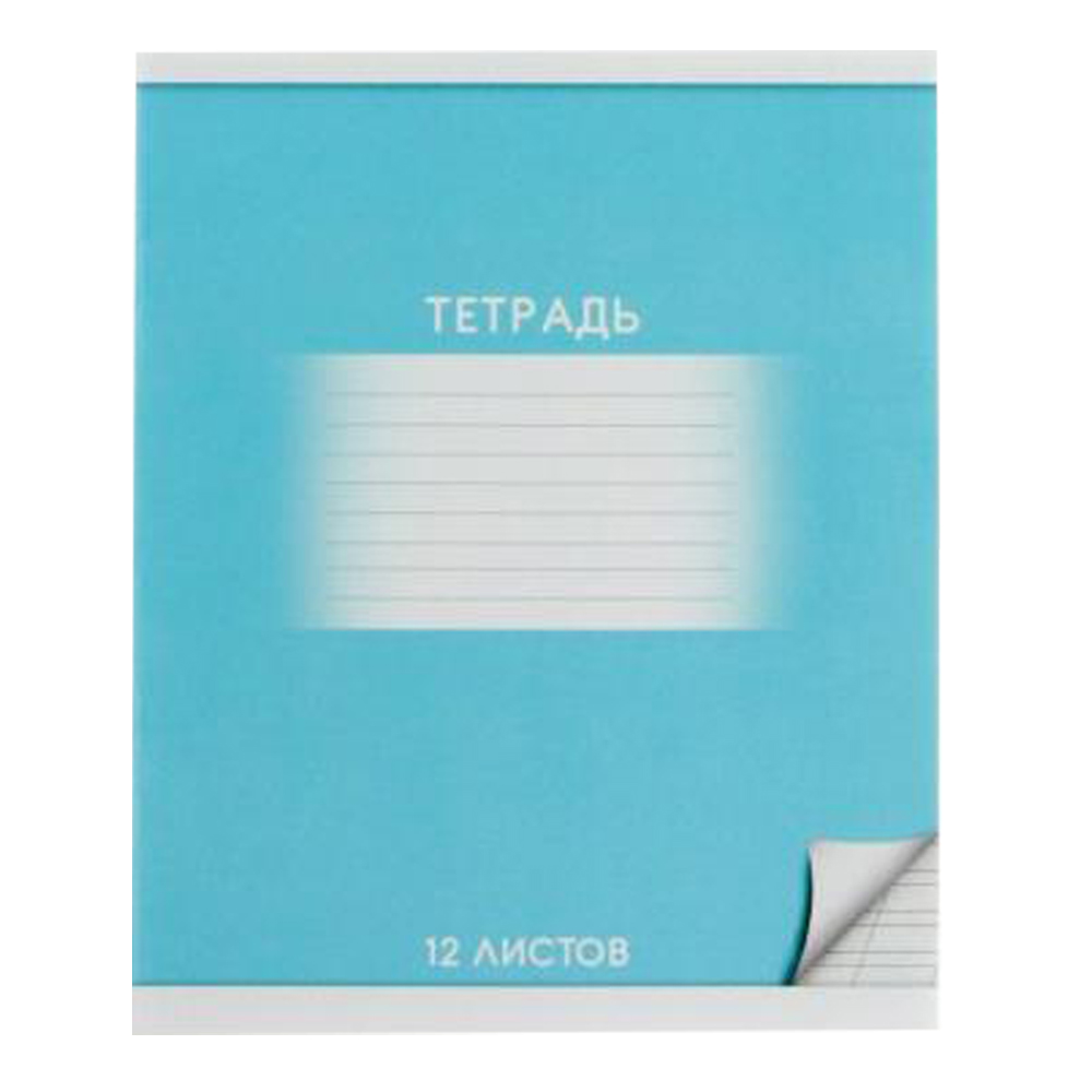 Тетрадь Calligrata 4981362 Школьная, в косую линейку, 12 листов