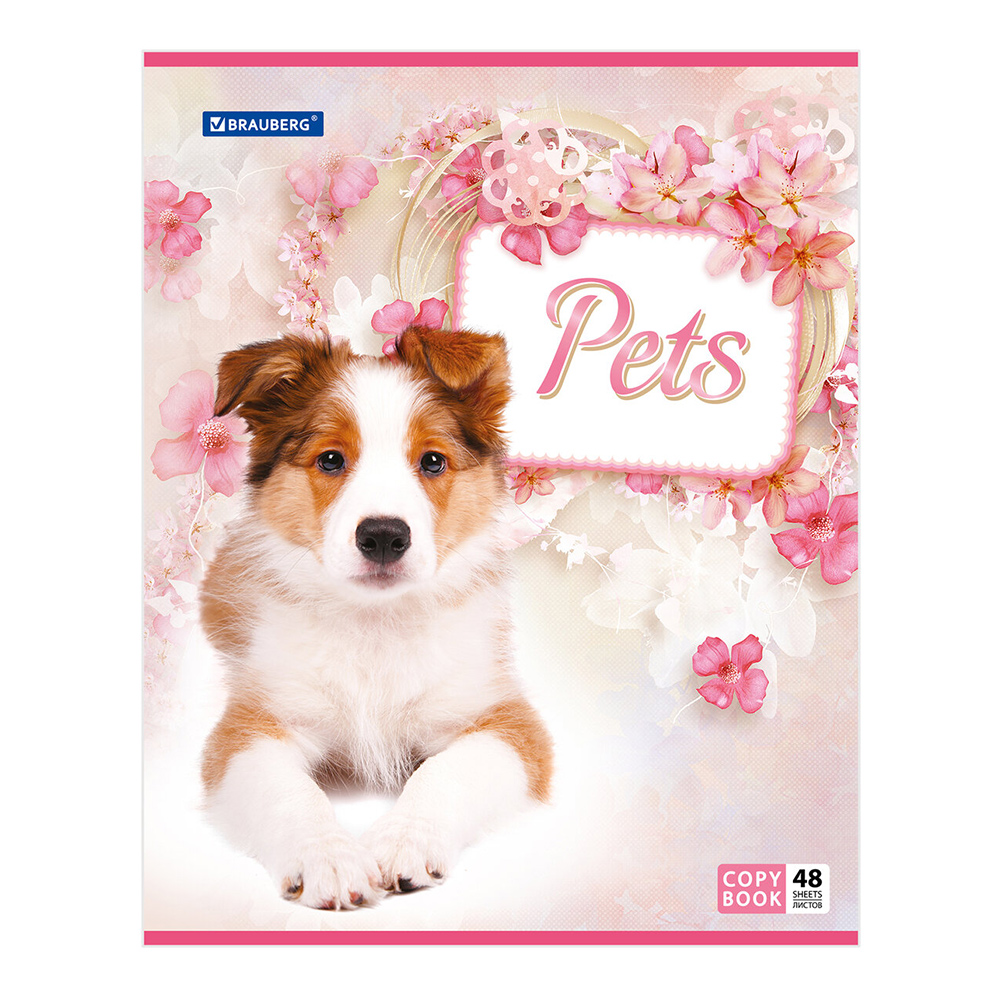 Тетрадь Brauberg 401816 в клетку, Любимчики, 48 листов