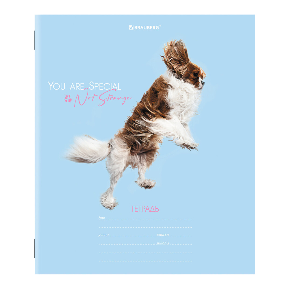 Тетради Brauberg 18 листов, линия, Собачки, 5 видов, 18 листов