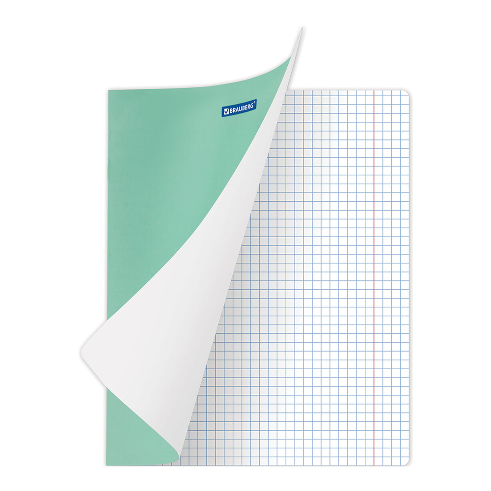 Тетради Brauberg 105702 24 листа, клетка, однотонная, ассорти 5 видов, 1 шт