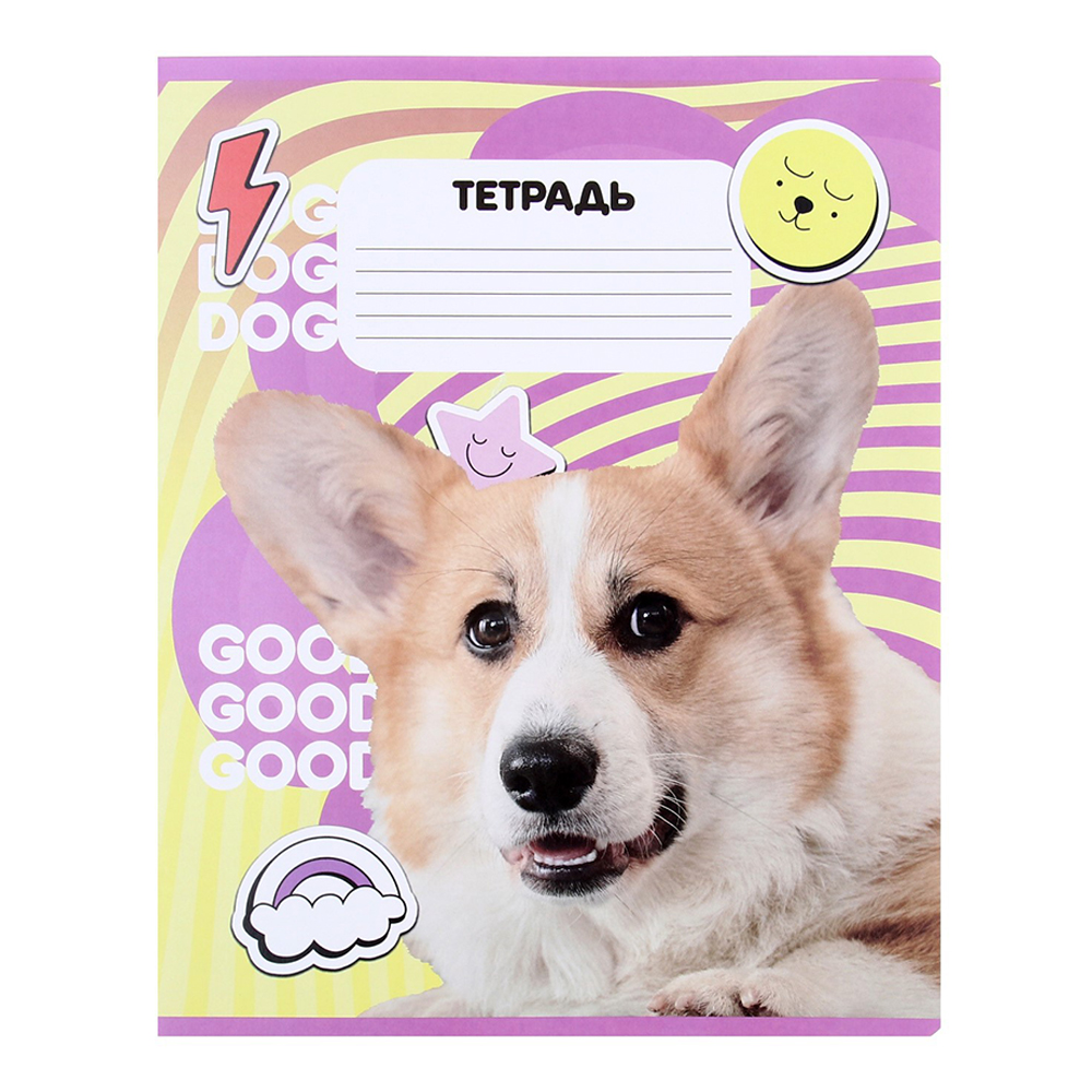 Тетрадь Calligrata 9492345 клетка, Пёсики, 5 видов, 12 листов