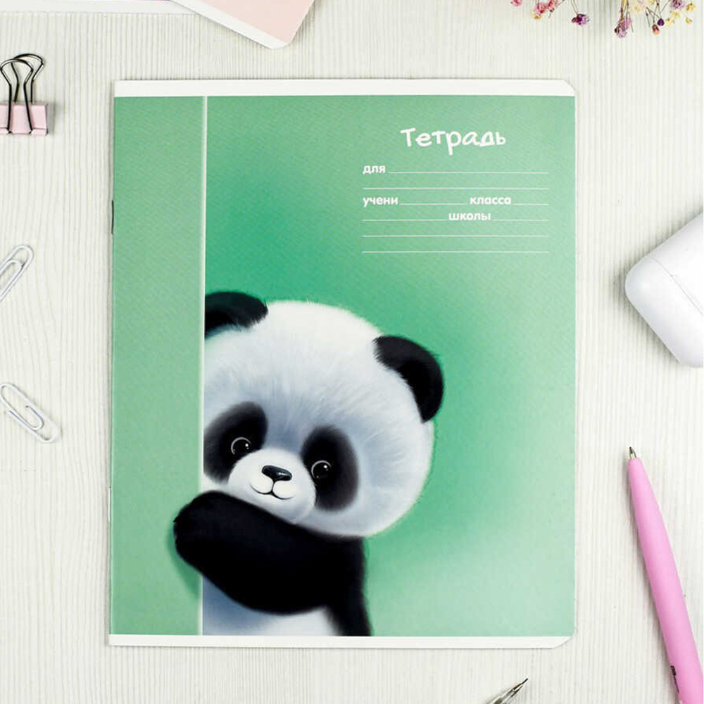 Тетрадь Феникс 68526 клетка, Пушистики, 12 листов