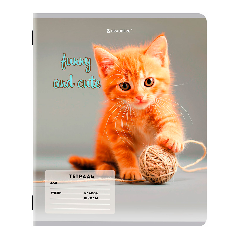 Тетрадь Brauberg 107288 косая линия, CATS AND DOGS, 12 листов