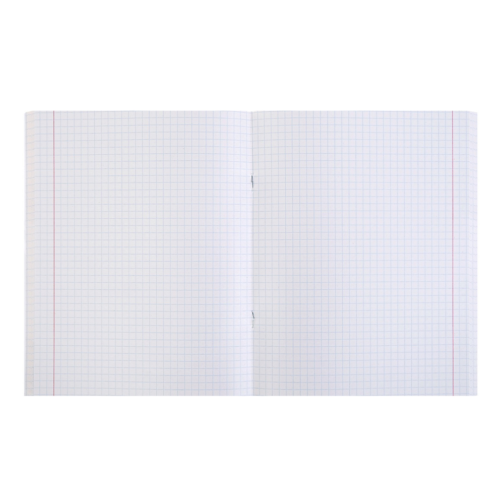 Тетрадь Calligrata 4511317 Красоты природы, клетка, 4 дизайна, 48 листов