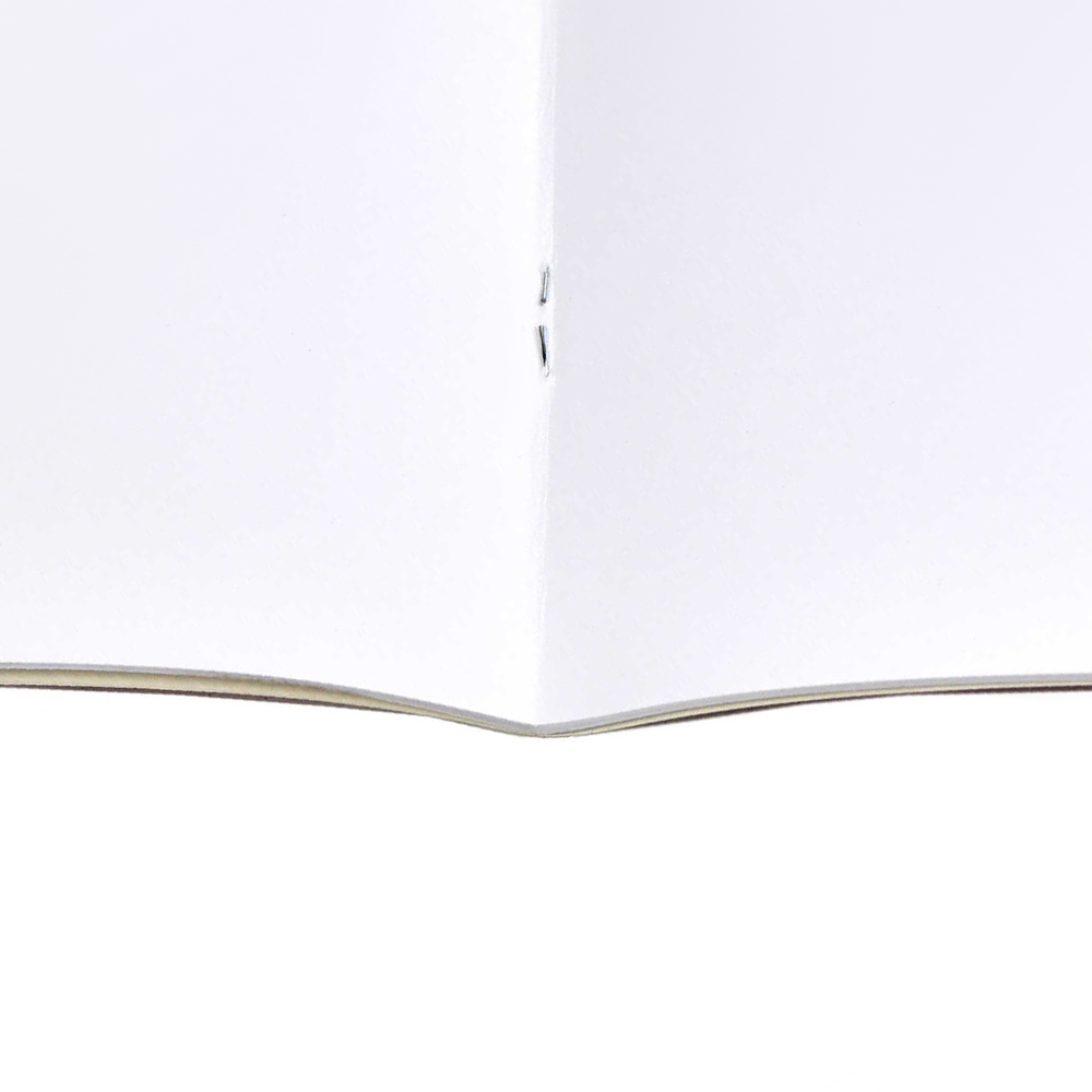 Альбом для рисования Феникс 64682 Озорные мальчишки, А4 285*200 мм, 12 листов