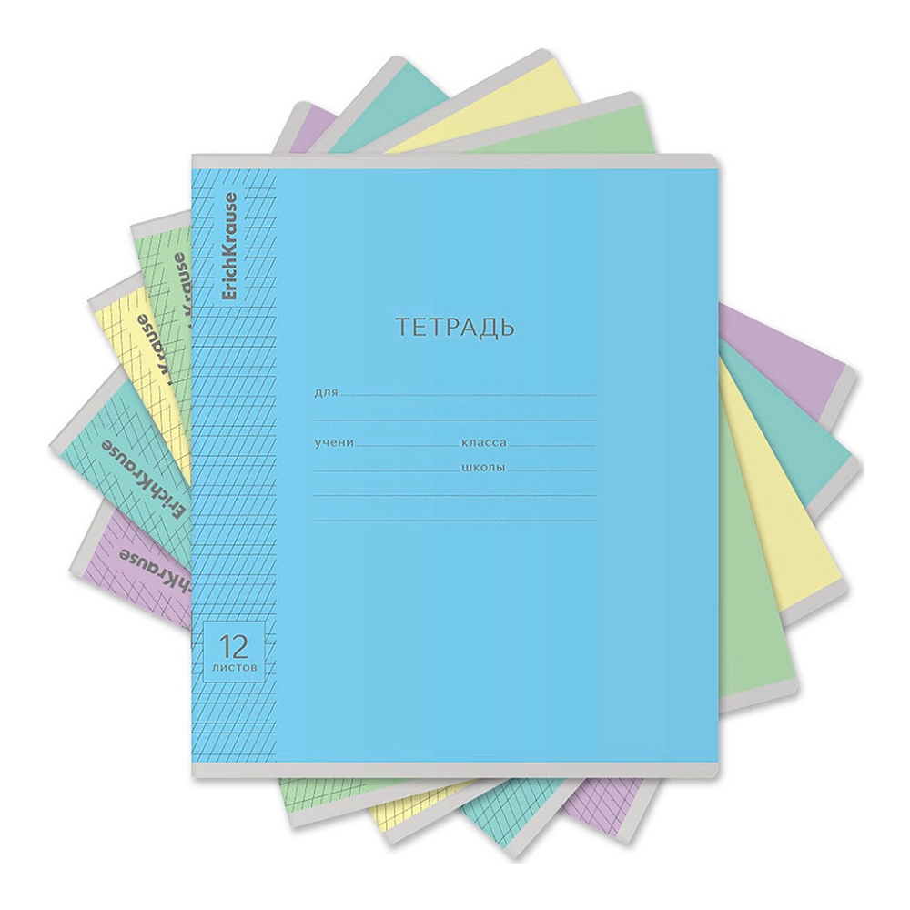 Тетрадь ErichKrause 2977087 в косую линейку, Классика Visio, 5 видов, 12 листов