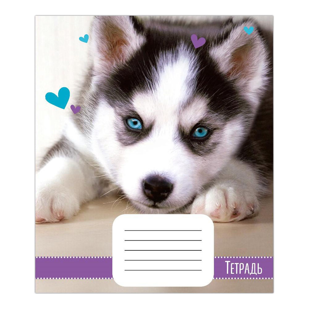 Тетрадь Calligrata 18 листов, линияя, Домашние животные, 5 дизайнов, 1 шт