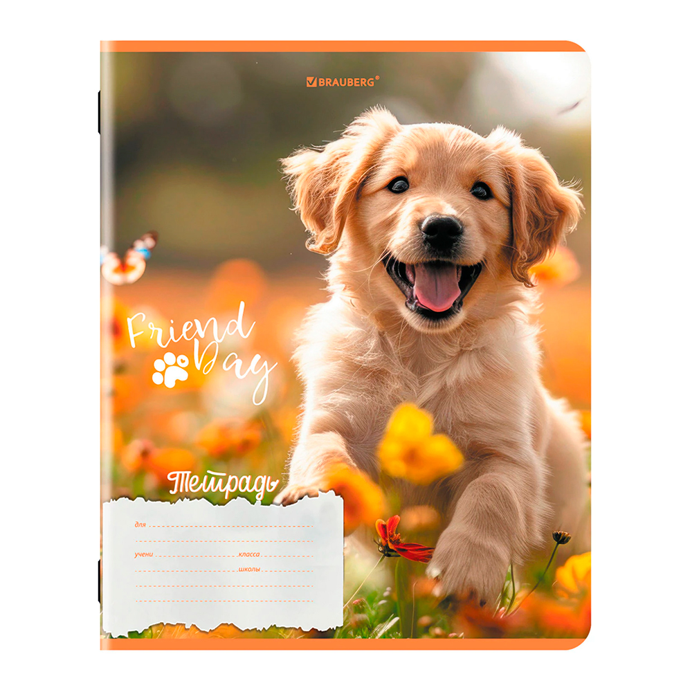 Тетрадь Brauberg 107295 18листов, клетка, Собачки, 5 дизайнов