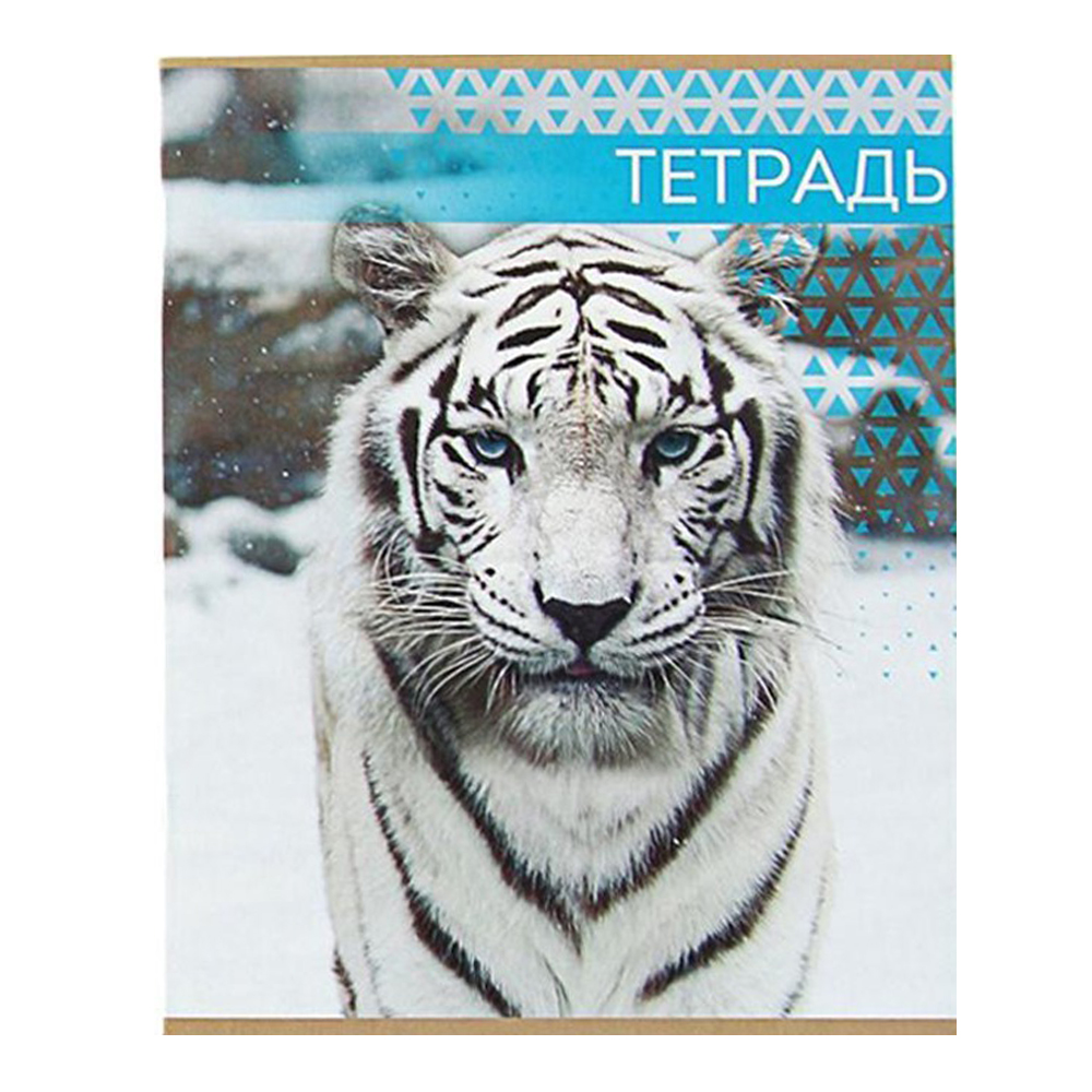 Тетрадь Calligrata 3043786 48 листов, линия, Дикие кошки, цвет:в ассортименте, 4 шт