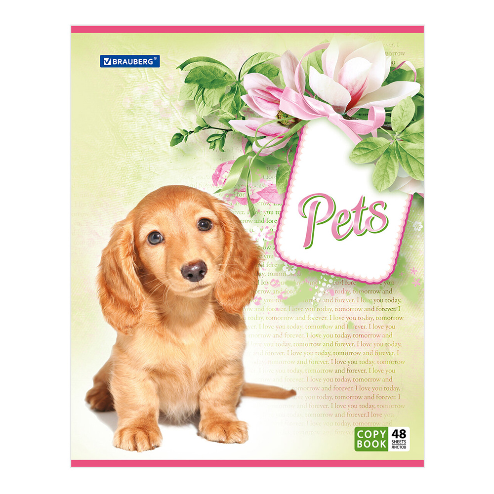 Тетрадь Brauberg 401816 в клетку, Любимчики, 48 листов
