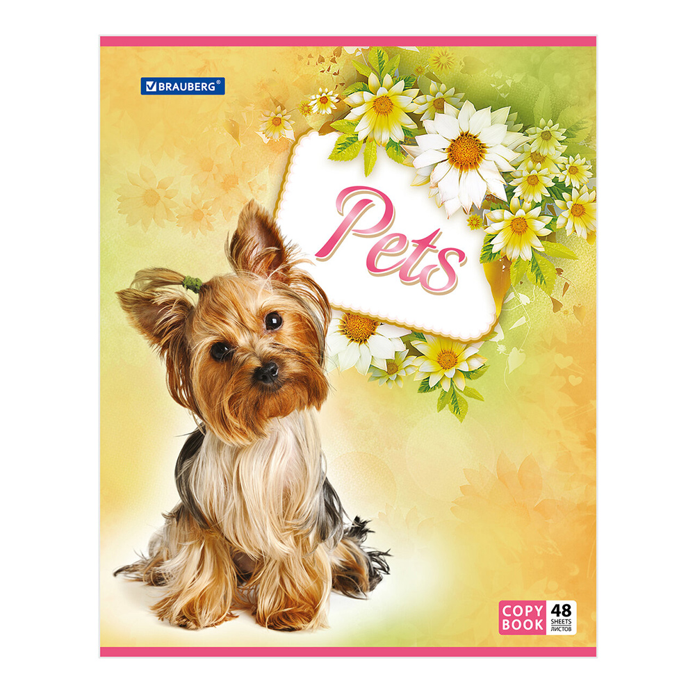 Тетрадь Brauberg 401816 в клетку, Любимчики, 48 листов
