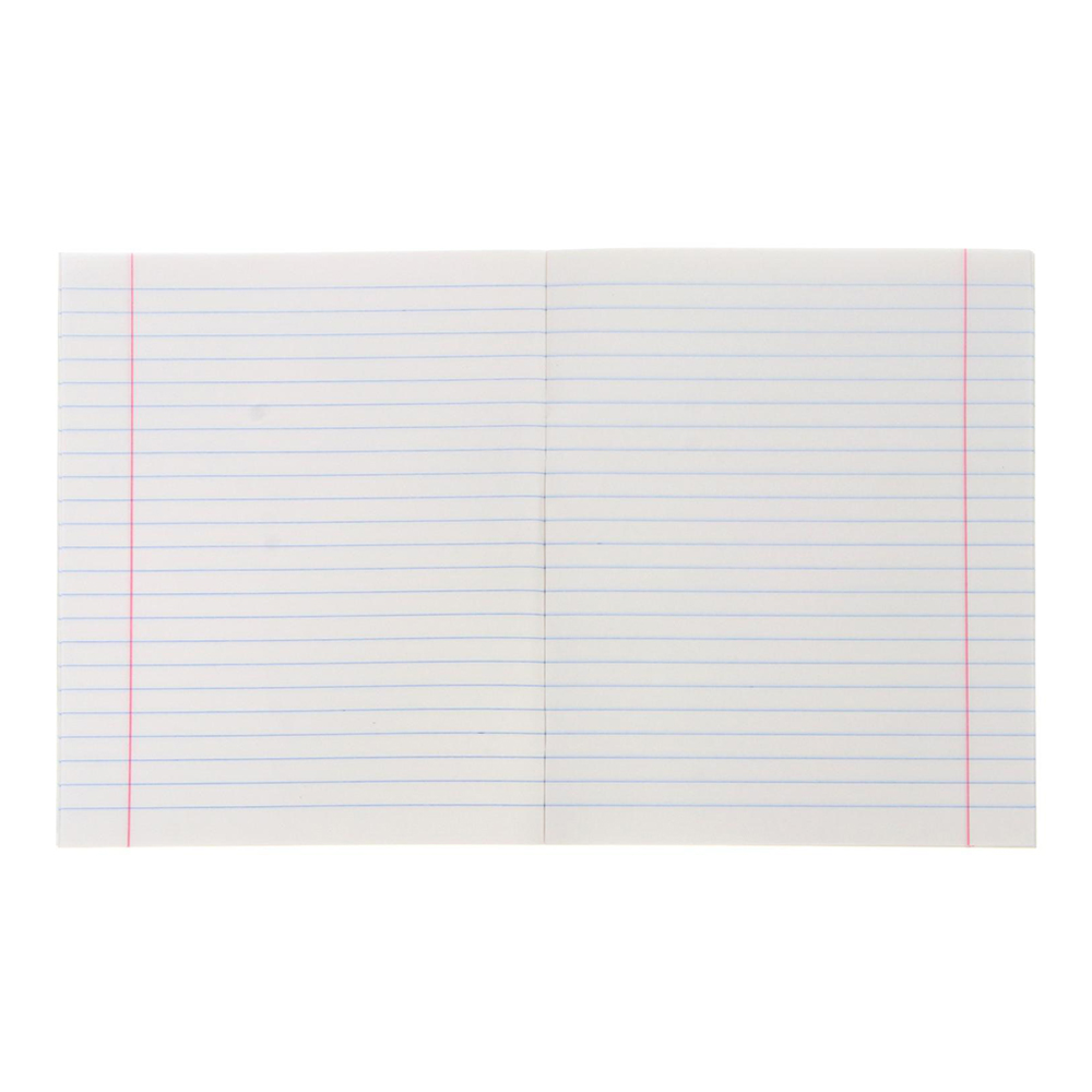 Тетрадь Calligrata 3571602 линия, Домашние животные, 5 дизайнов, 24 листа