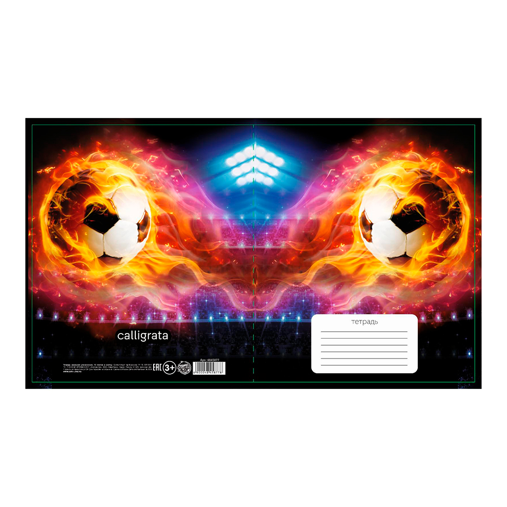 Тетрадь Calligrata 4845877 Футбол клетка, 12 листов